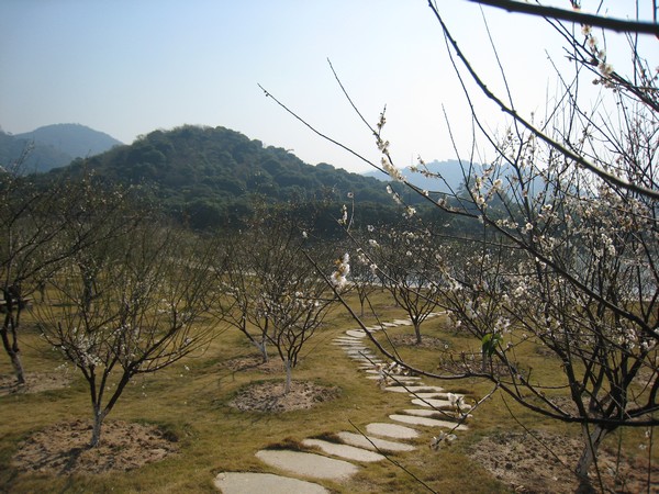 图1 香雪公园（局部）.jpg